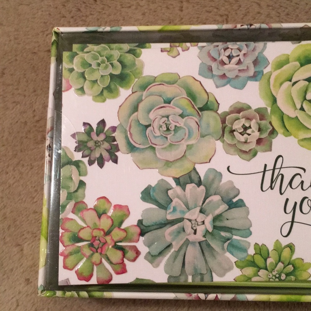Succulent Garden Thank You Notes Boxed Set 14 NWT - Picture 2 of 11